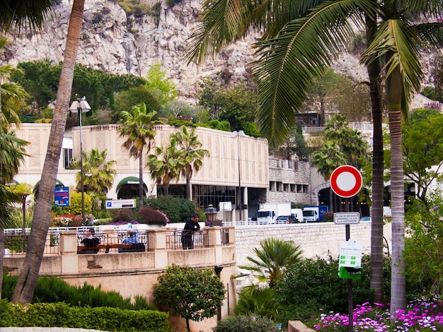 Hotels Near Los Cabos International Airport in San Jose Viejo