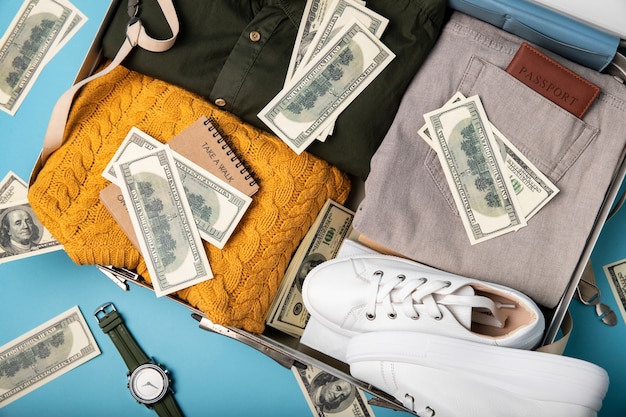 How Much Money Do Travel Bloggers Make - Real Earnings