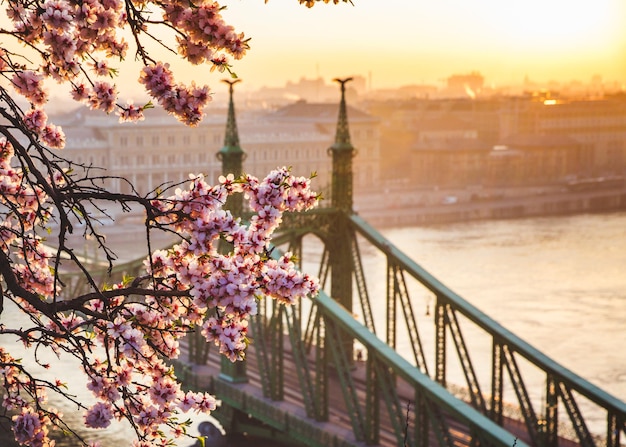 Hungarian Tourism Blossoms with Remarkable Growth