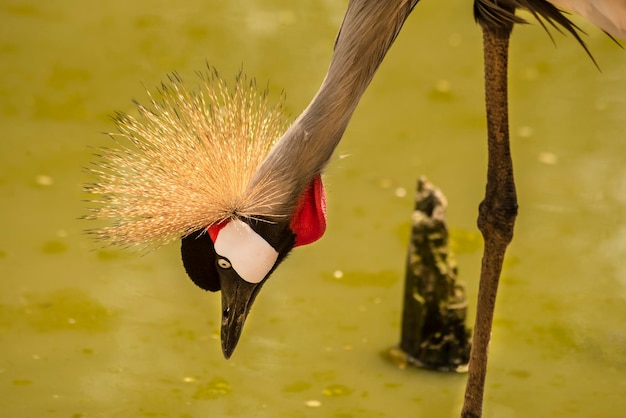 Ibis Wuhan Hankou 3-Star Hotel – Location, Amenities, and