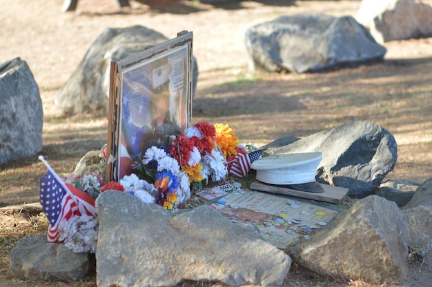 Early Observations of Memorial Day Travel Trends and Their Implications