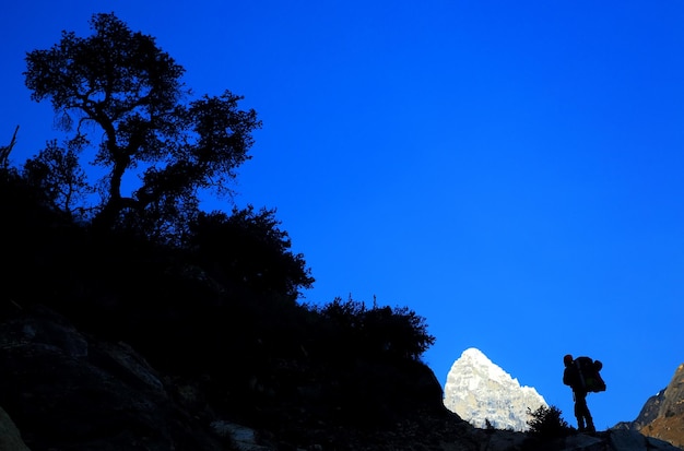 Why IndiGo Shares Climbed After a Record $2.45 Million Fine and What It Means for Travelers