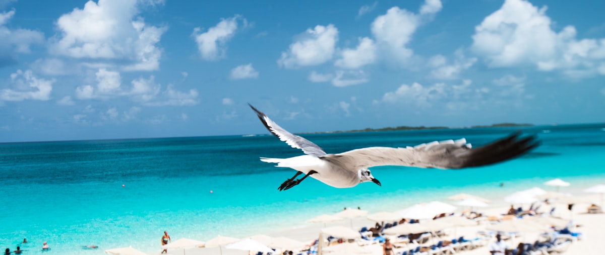 Is Bahamas Safe to Travel? Essential Insights for Your Journey