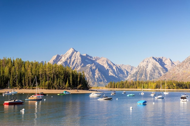 Things إلى Do in Jackson Hole Wyoming