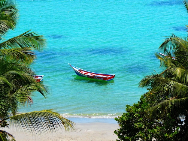 Fantastiska saker att göra i Jamaica