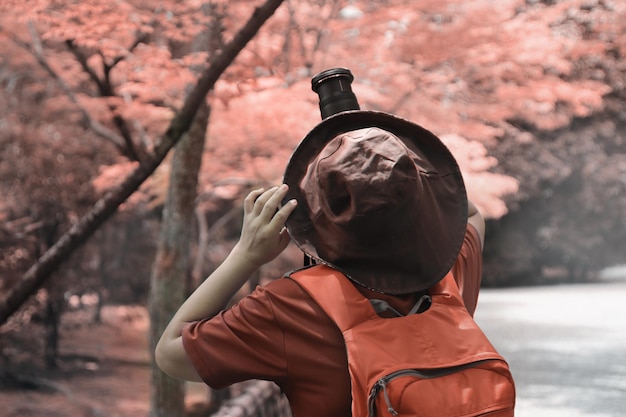 Uncovering Japan's Hidden Gems with Complimentary Domestic