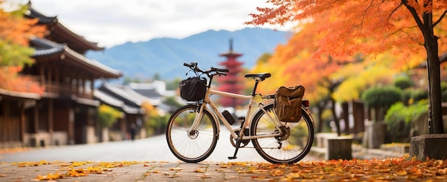 Höstäventyr i Japan: Utforska natursköna lövverk och avkopplande varma källor