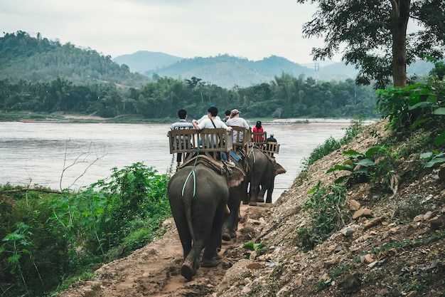New Kaziranga elevated corridor to protect wildlife and improve connectivity in Assam