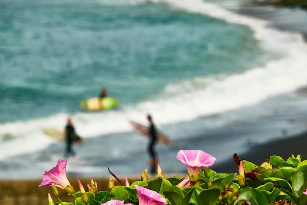 Top Things to Do in Kona, Hawaii: Your Ultimate Guide