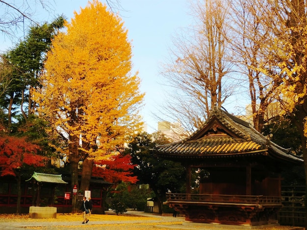 Discover Korea’s Autumn Templestay Offer with 50% Discounts to Embrace Culture and Wellness