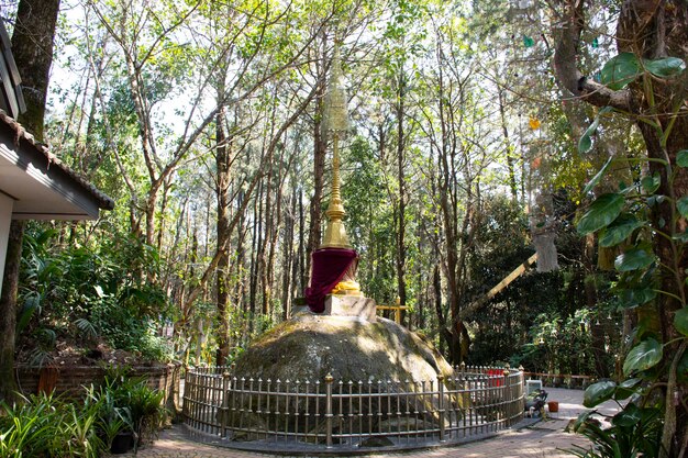 Discover Kuno Forest Retreat: The Latest Eco-Luxury Wildlife Escape Opening on November 14 in Madhya Pradesh