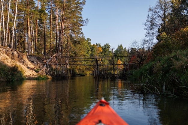 Окружний парк Лінч-Рівер: Маяк досконалості в Південній Кароліні