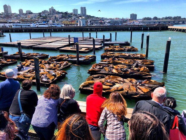 Maddens in East Finchley - A Taxi Driver's Perspective