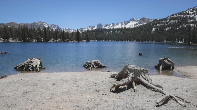 Najdôležitejší sprievodca: Čo robiť v Mamutích jazerách