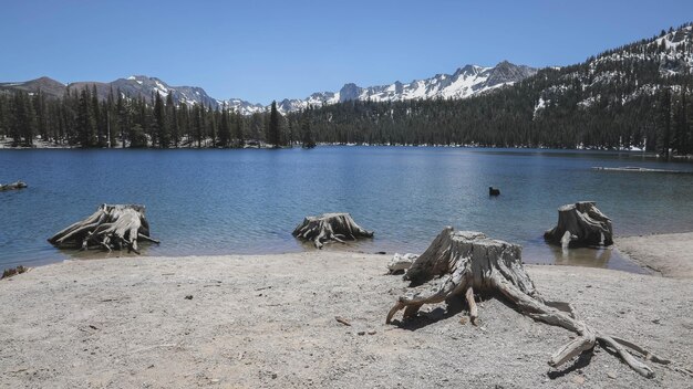 Ultimate Guide: Things to Do in Mammoth Lakes
