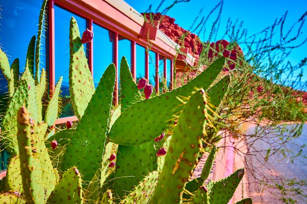 Unforgettable Places in Mexico to Visit