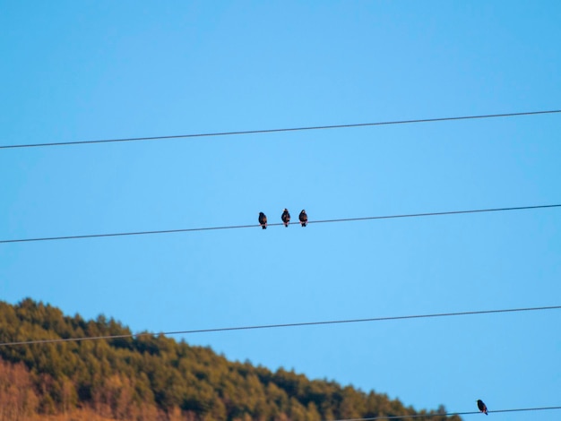 How EIN Presswire’s Three Decades of Experience Empower Your News Distribution Worldwide