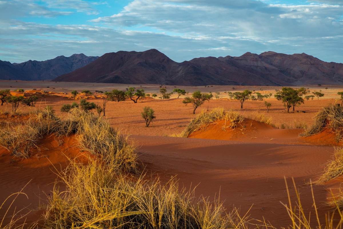 Namibia Simplifies Visa Process to Attract African Travelers
