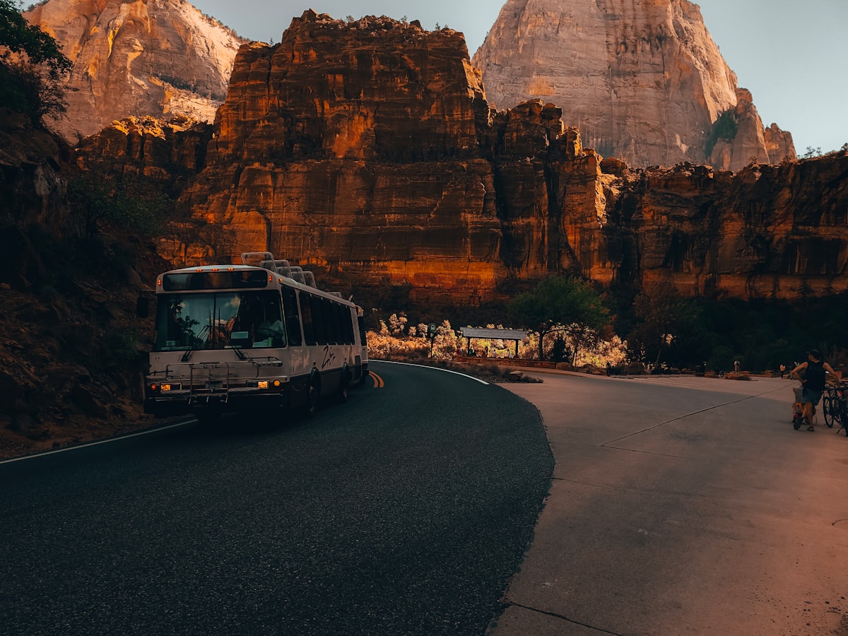 纽黑文的精彩活动