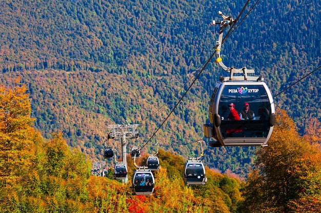 Shimla Heli Taxi Launched: Daily Flights to Kullu, Reckong Peo and Chandigarh