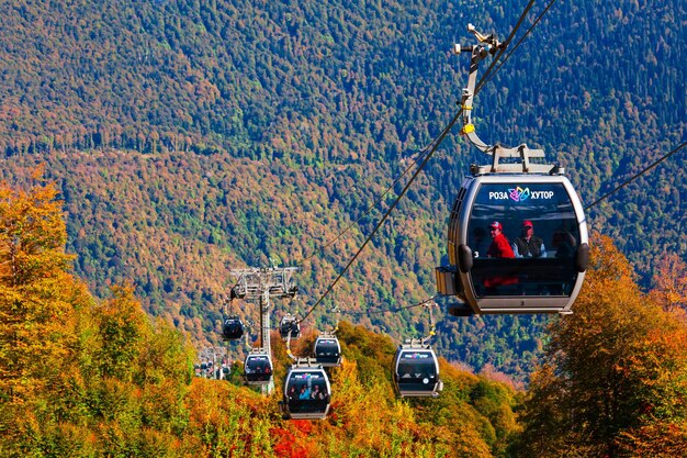Shimla Heli Taxi Launched: Daily Flights to Kullu, Reckong Peo and Chandigarh