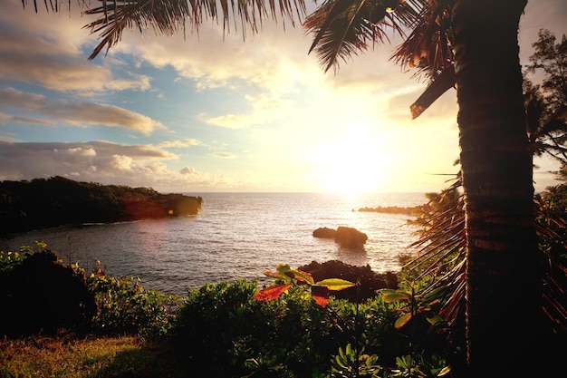 دليلك الشامل للأنشطة التي يمكنك القيام بها في أواهو