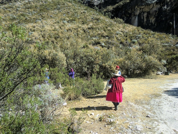 Discover Odisha’s Unique Eco-Friendly Retreats Across Bhitarkanika, Daringbadi, Hirakud, and Konark