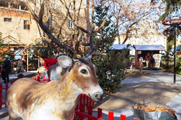 Святковий ринок в Охай: Мистецтво, музика та народні гуляння чекають на вас