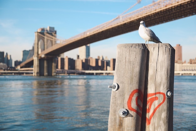 Our Favorite Things We Did in Brooklyn