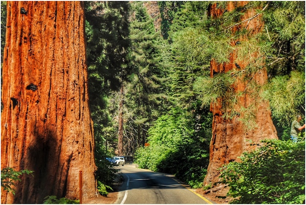 Top Things to Do in Pasadena