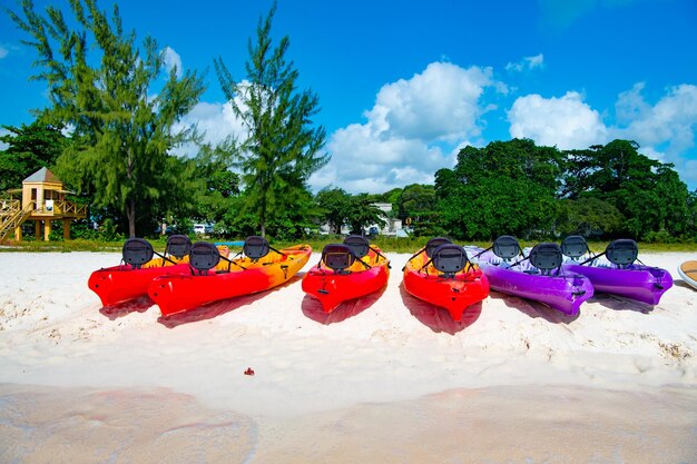 Fun Things to Do in Pawleys Island