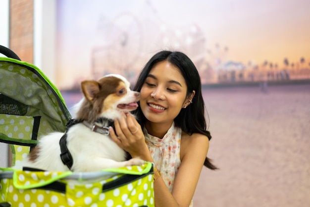 Enjoy the Best Pet-Friendly Hotels Across Central and South America