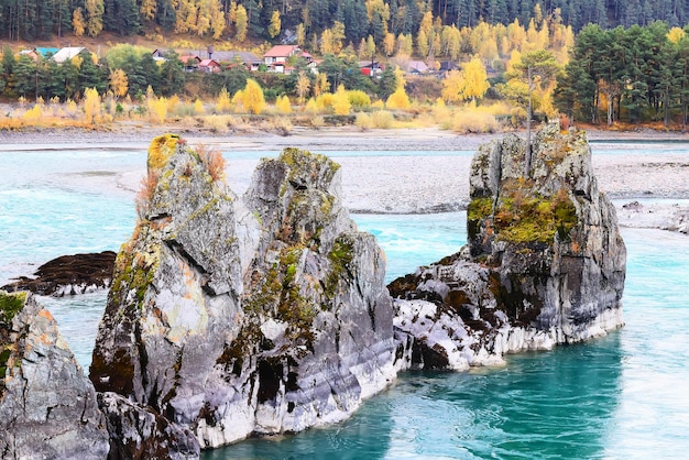 Discover Amazing Things to Do in Petoskey