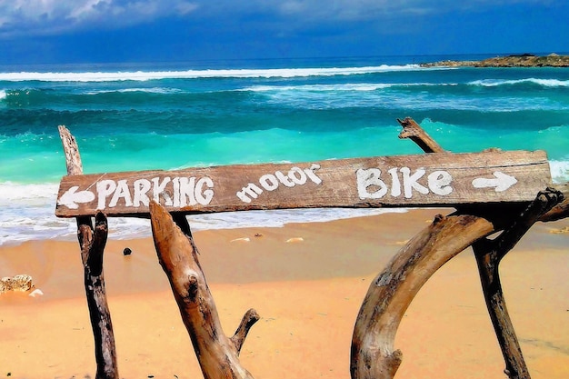 Explore the Top Things to Do in Pismo Beach