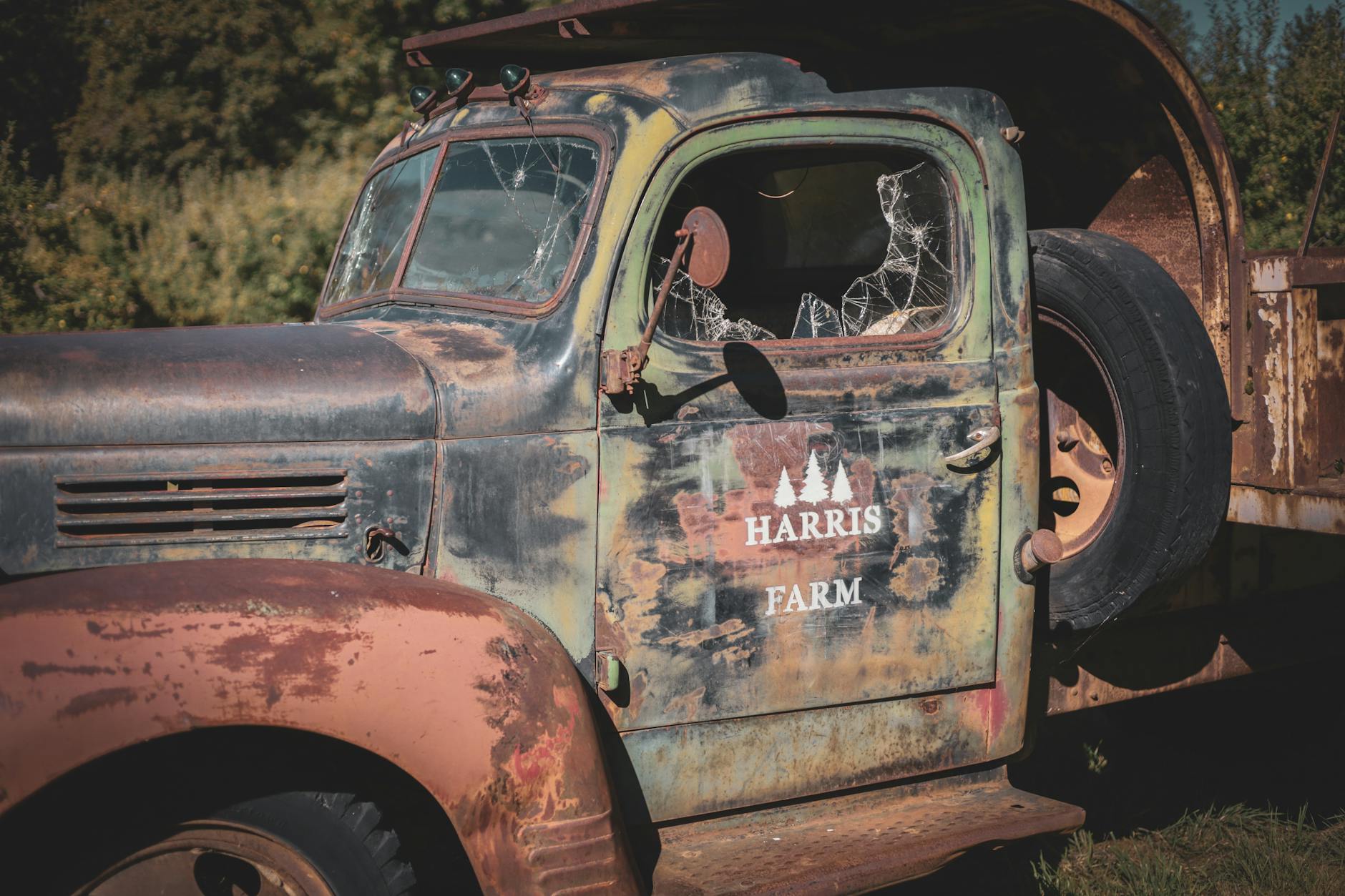 Uncover the Best Things to Do in Placerville