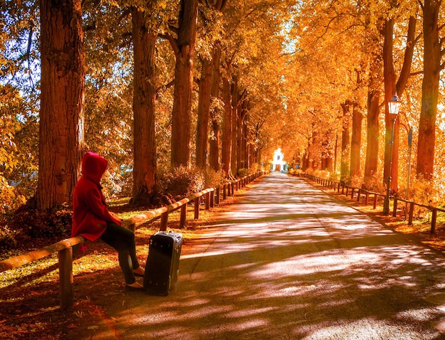 Discover the Best Places to Visit in November in the USA