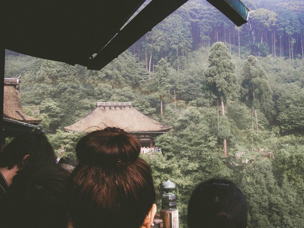 Discover the Best Forest Retreats in Asia for a Nature Escape