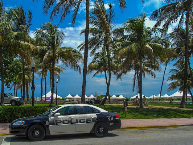 Private Transfer from Miami International Airport (MIA) - Chauffeur Service