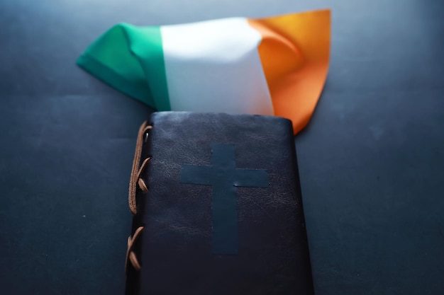 Proceedings of the Royal Irish Academy - Archaeology, Culture, History & Literature