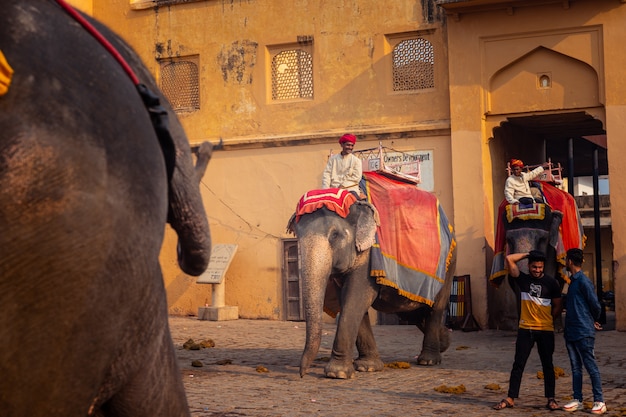 How Rajasthan's tourism reached 25.44 crore visitors in 2025 and what it means for travel