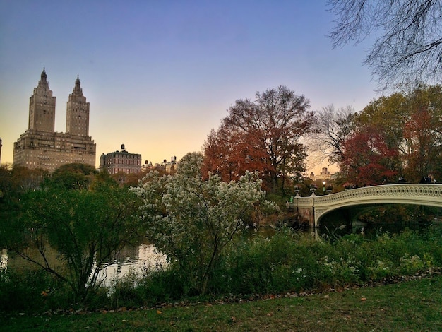 A legjobb dolgok Rochesterben