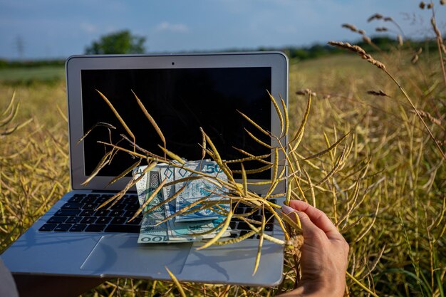 印度农村地区的数字增长如何塑造旅行和换乘的未来