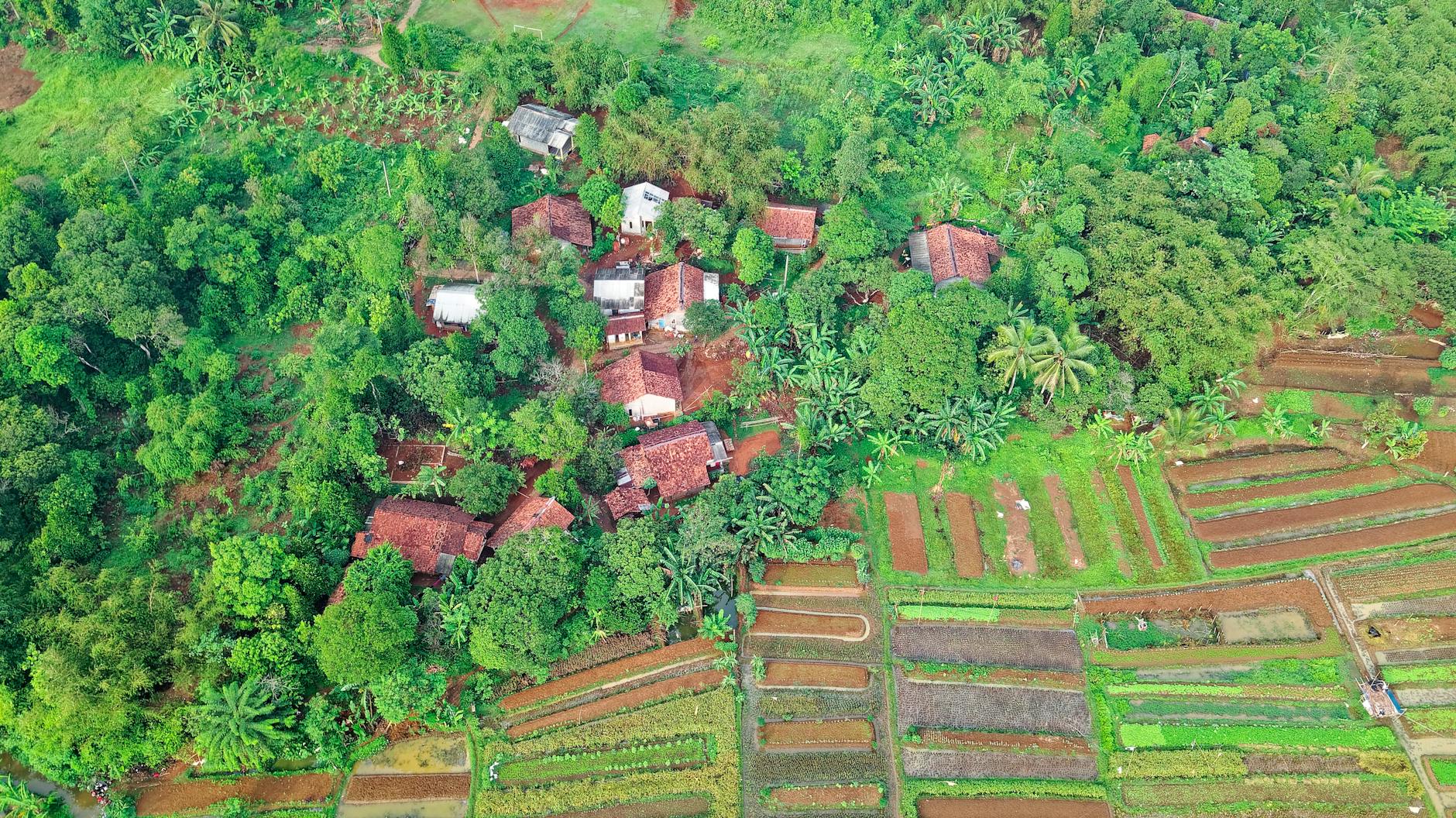 LastClues turns village homestays, artisans and guides into discoverable, bookable micro-brands