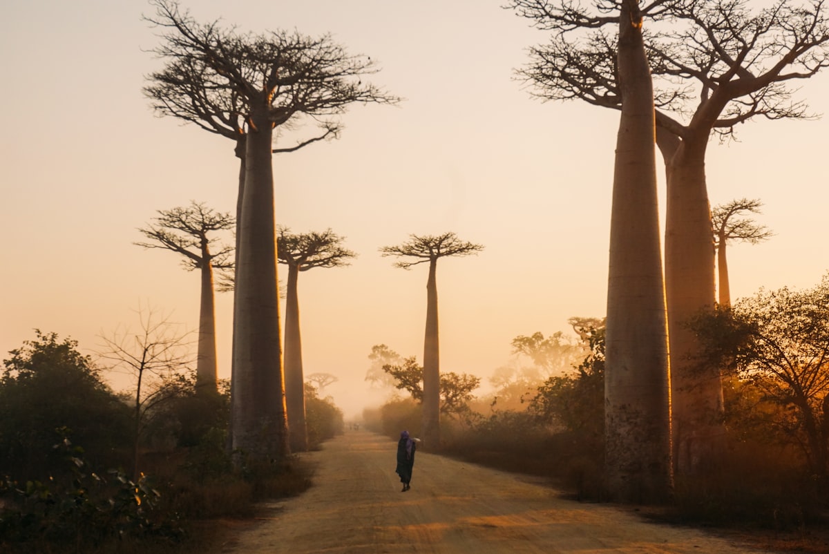 Is Madagascar Safe to Travel?