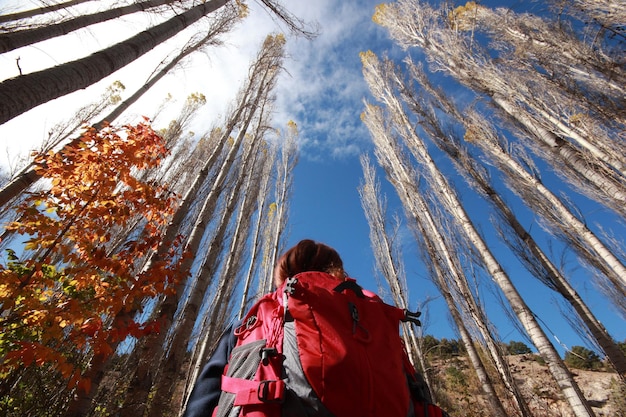 Explore Amazing Things to Do in Saugatuck MI