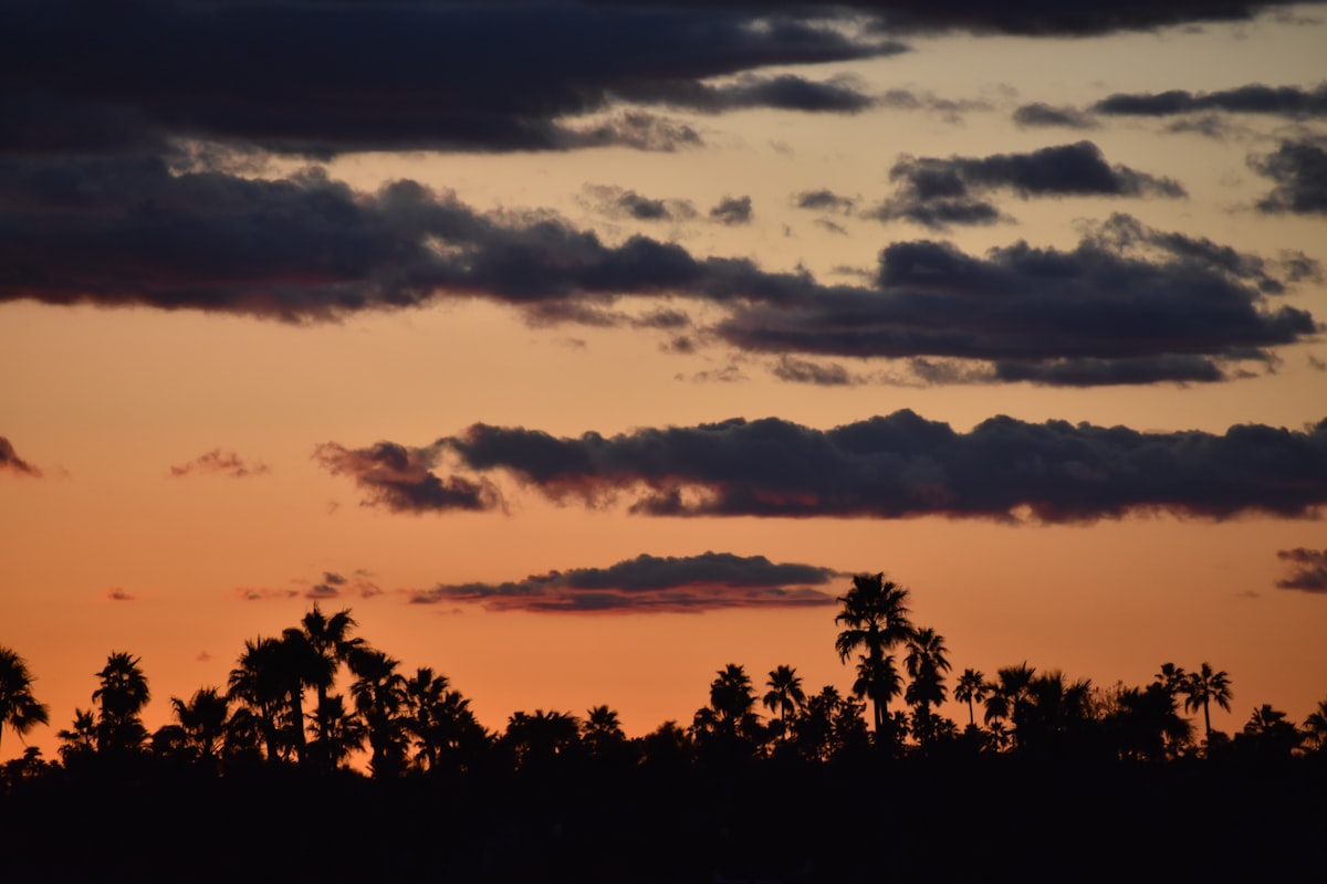 Top Things to Do in Scottsdale