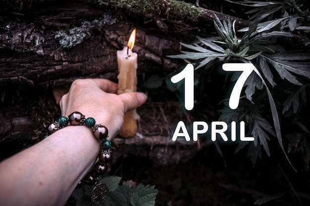 Countdown to Shambhala 2025: A Unique Music Experience