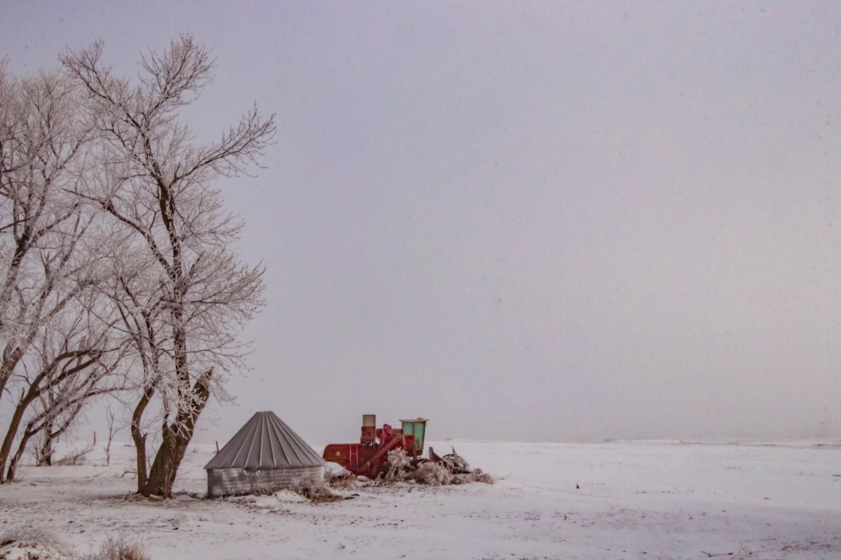 Uncover Amazing Things to Do in Sioux Falls