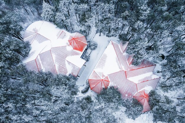 The Facets of a Ski Resort's Revival