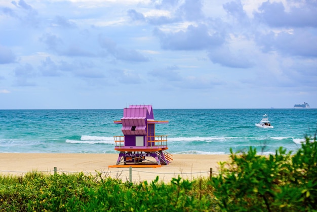 Things to Do in South Florida: Your Ultimate Guide